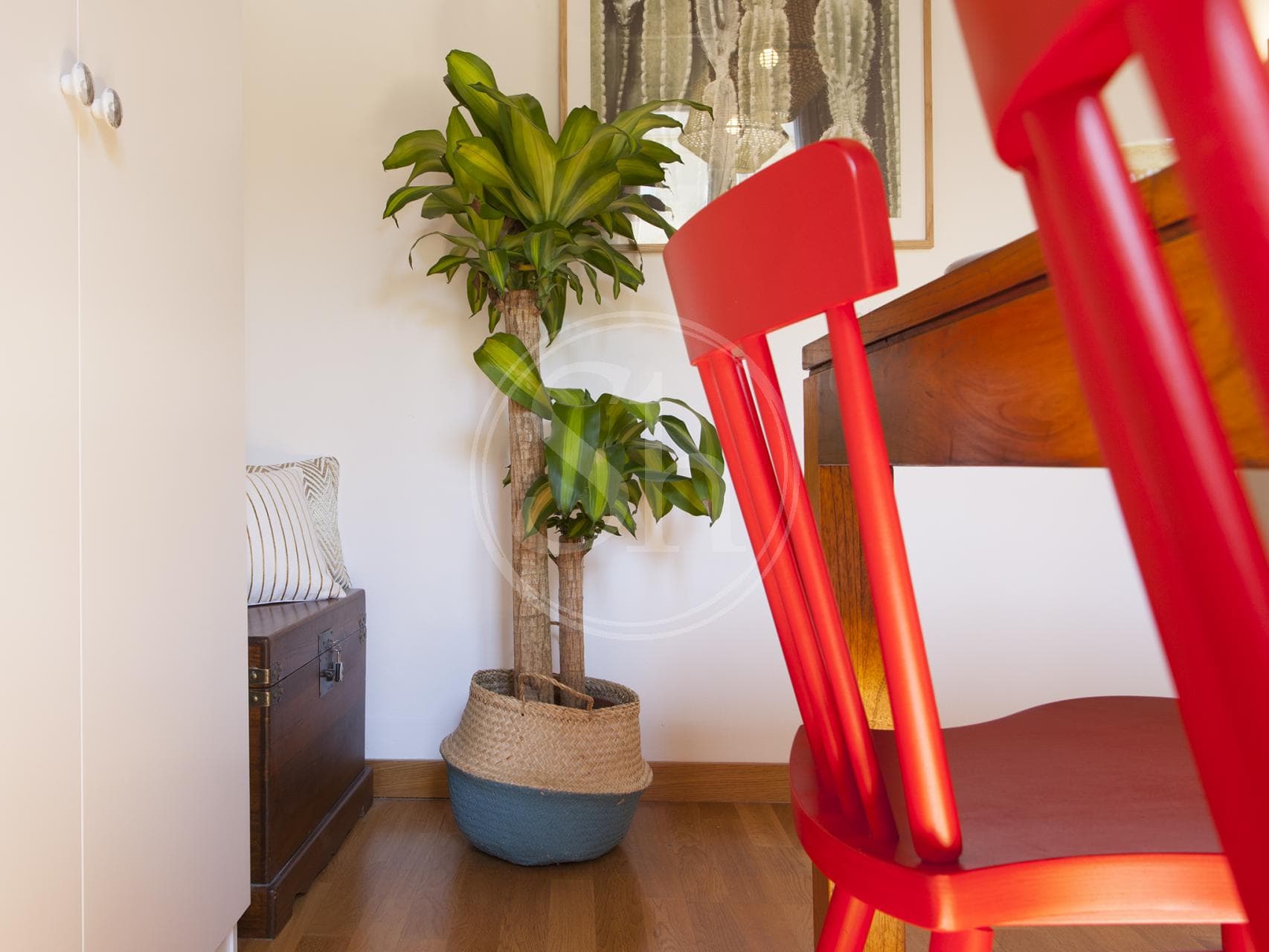 property_image_9