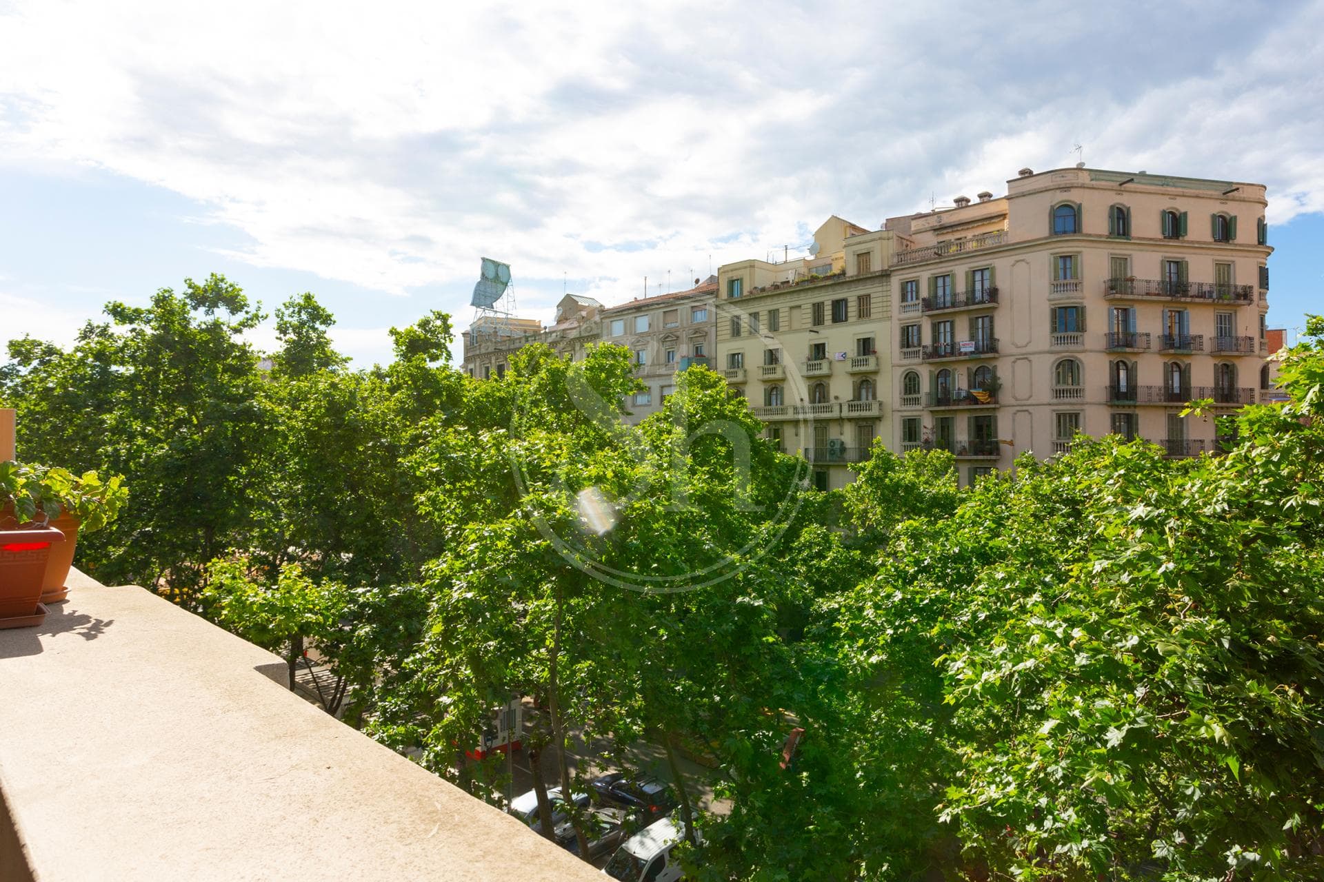 property_image_16