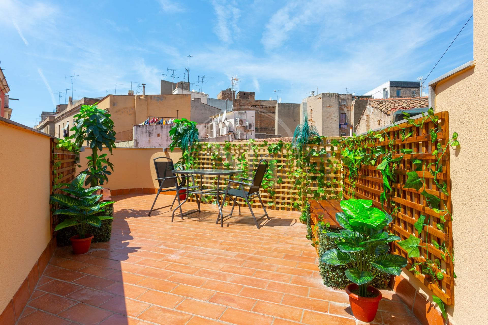 property_image_20