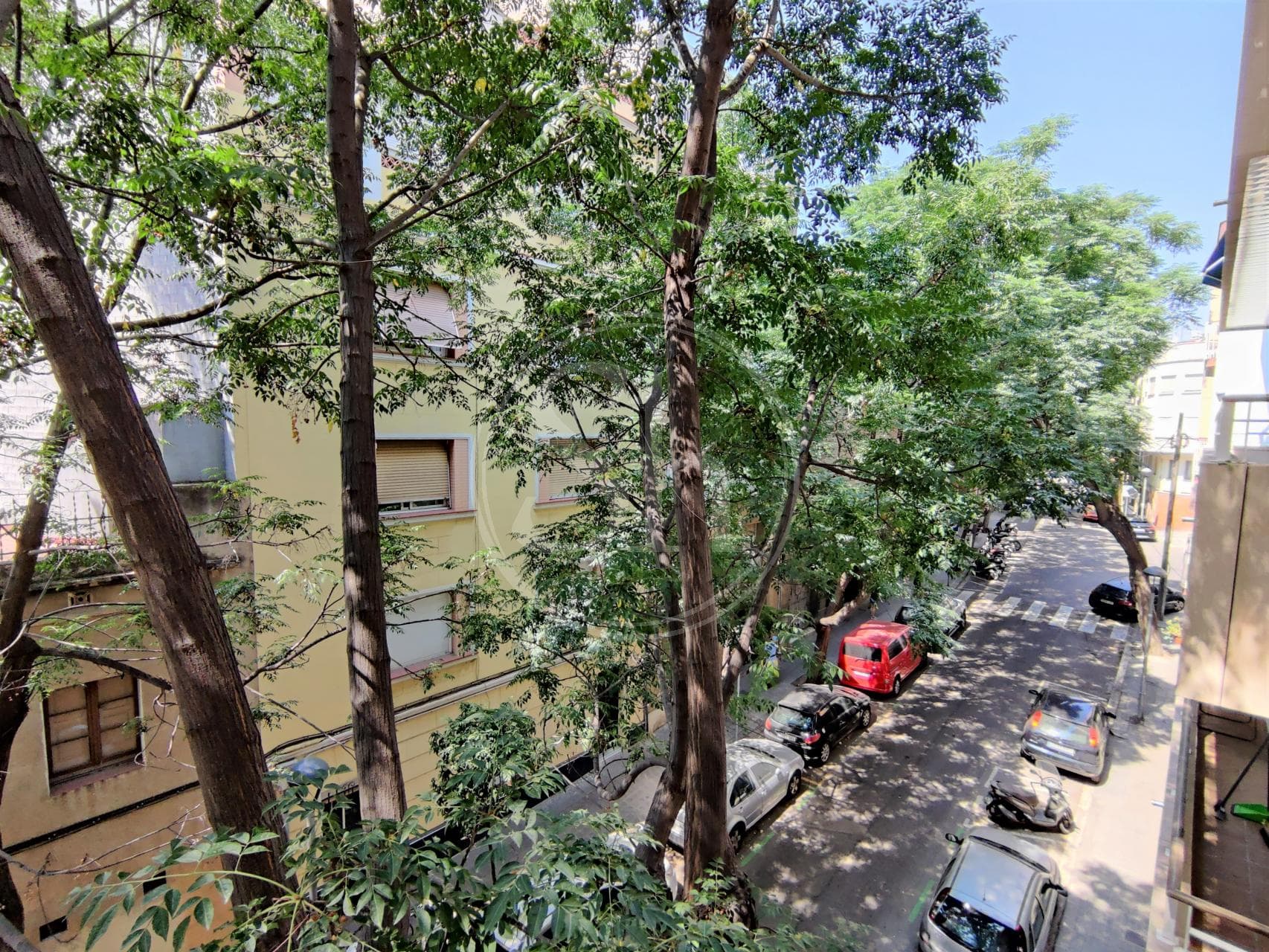property_image_20
