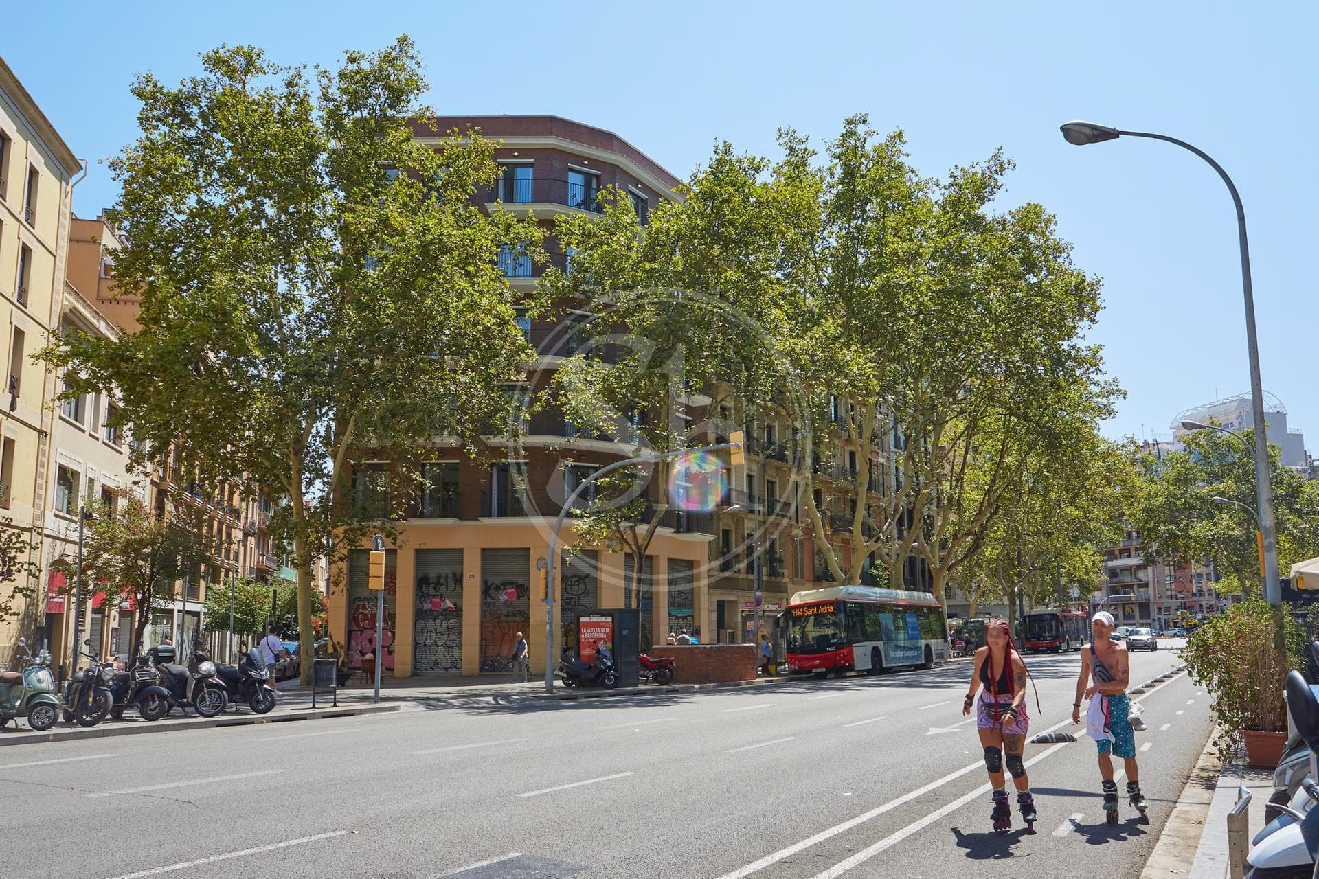property_image_19