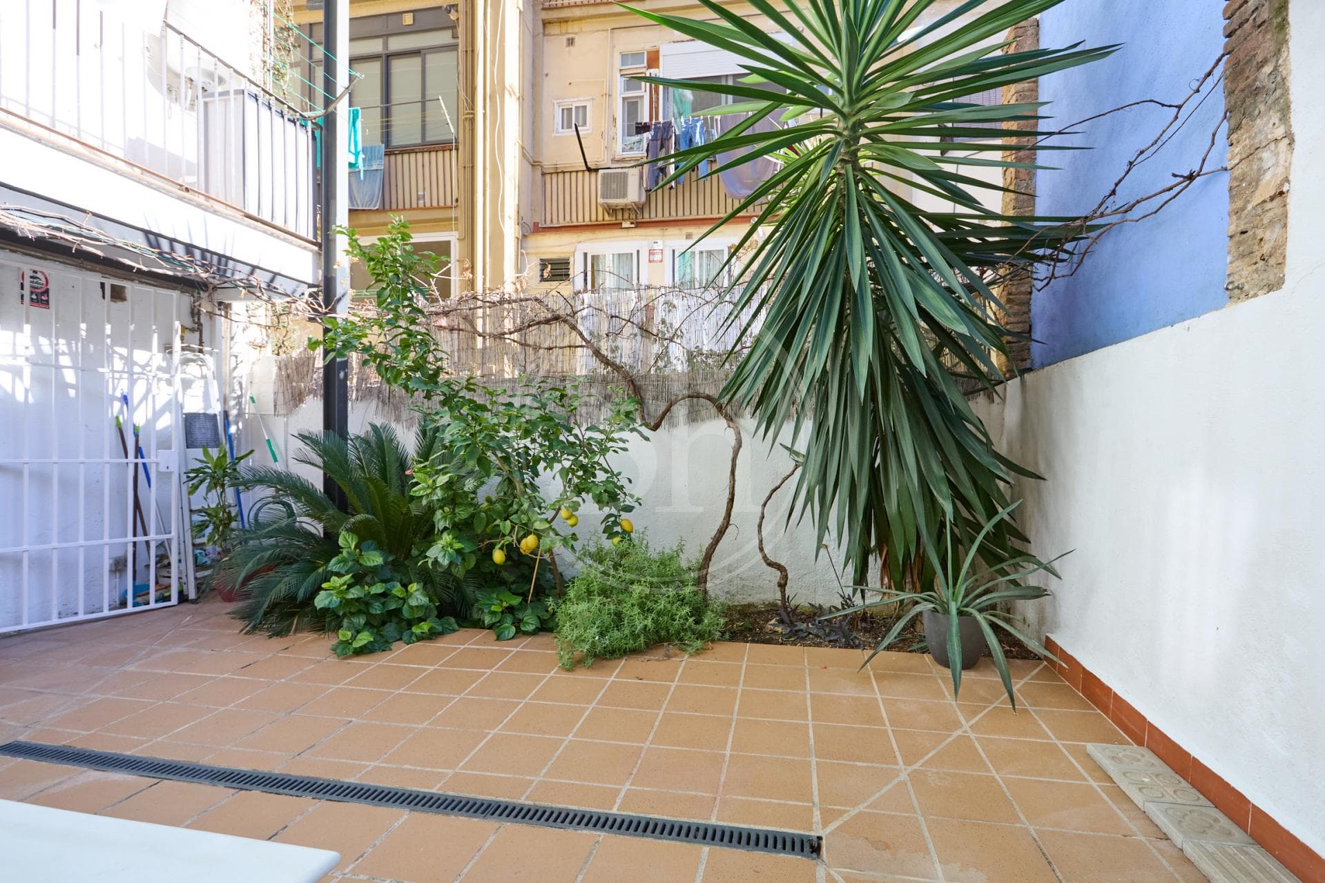 property_image_18