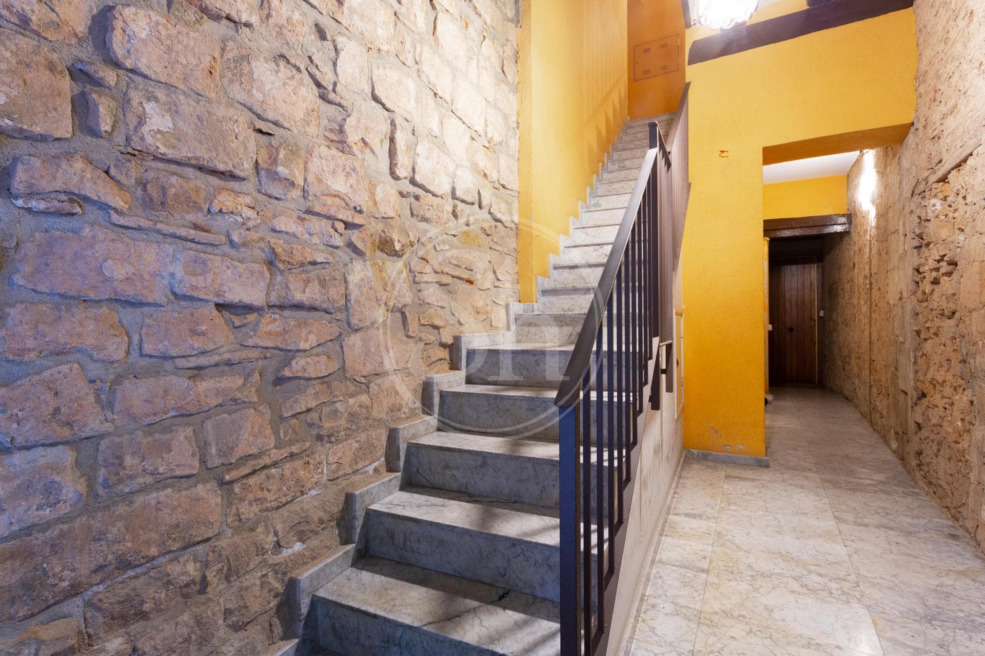 property_image_20