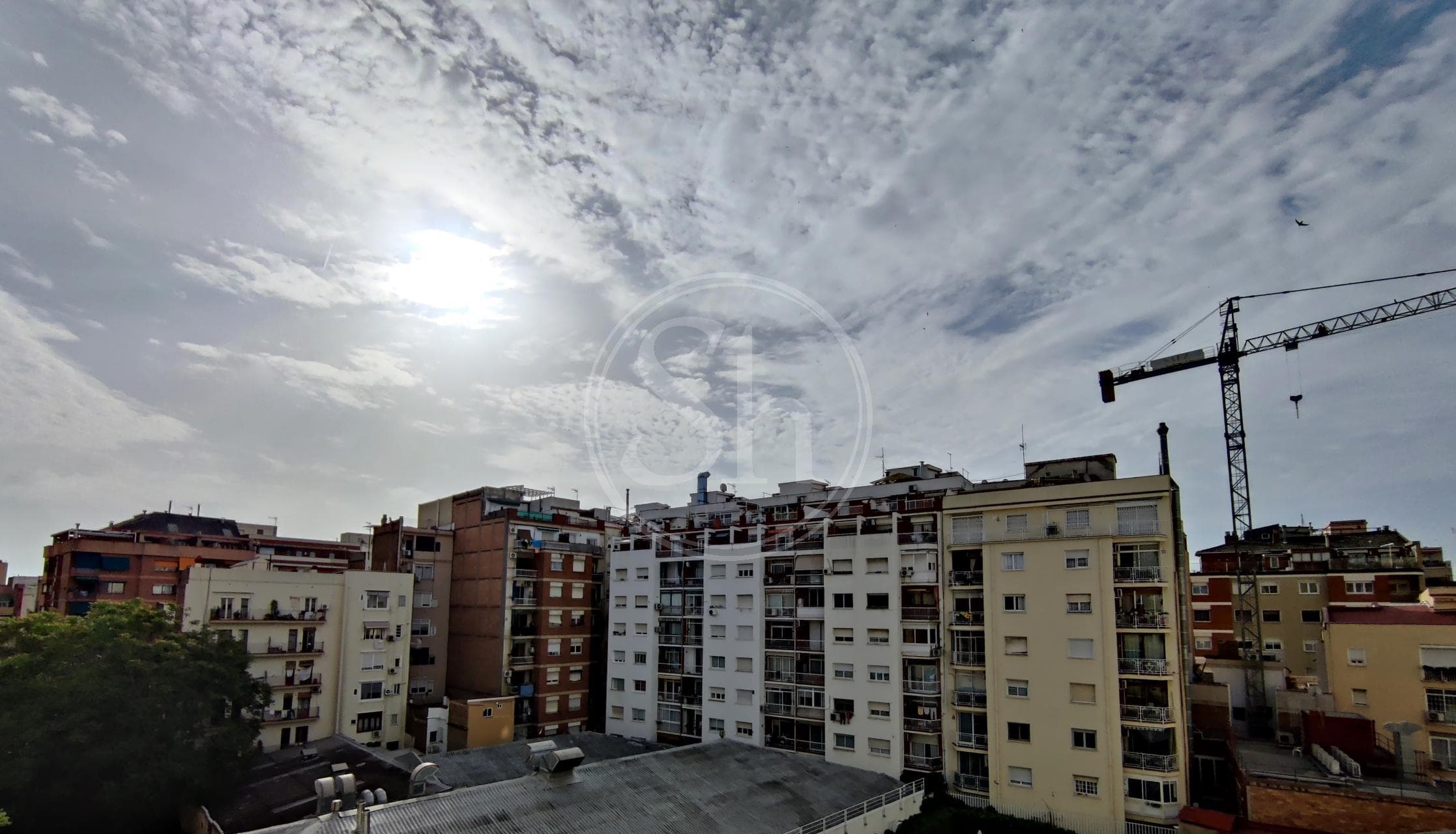 property_image_10