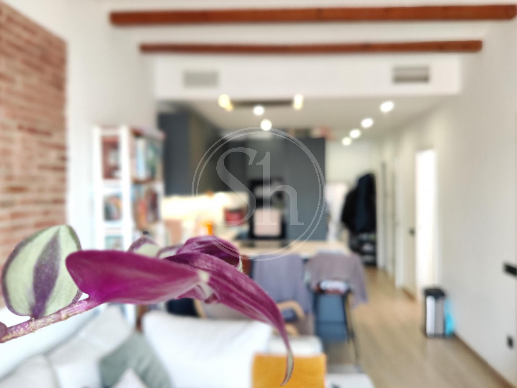 property_image_4