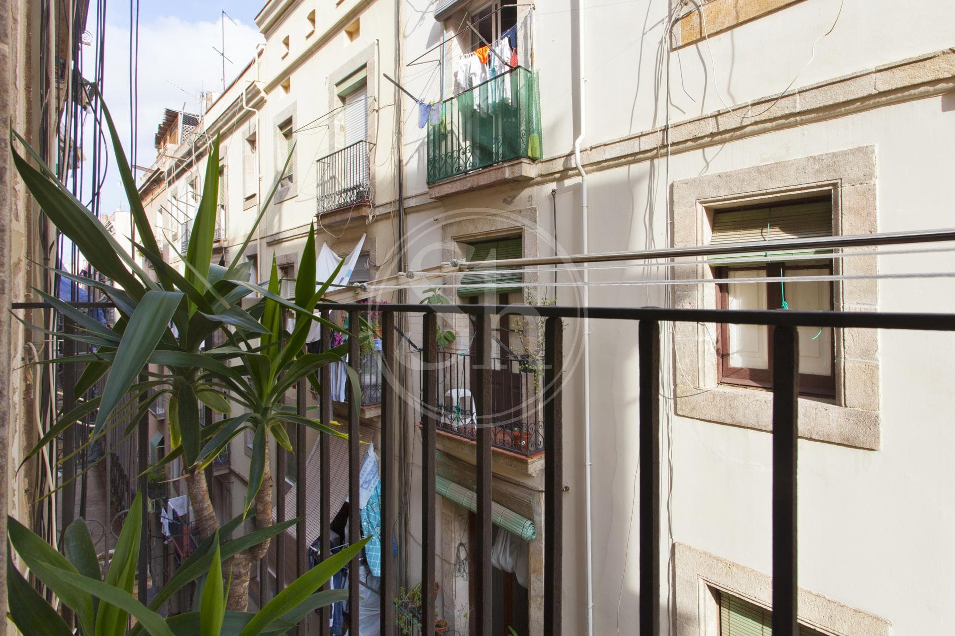 property_image_10