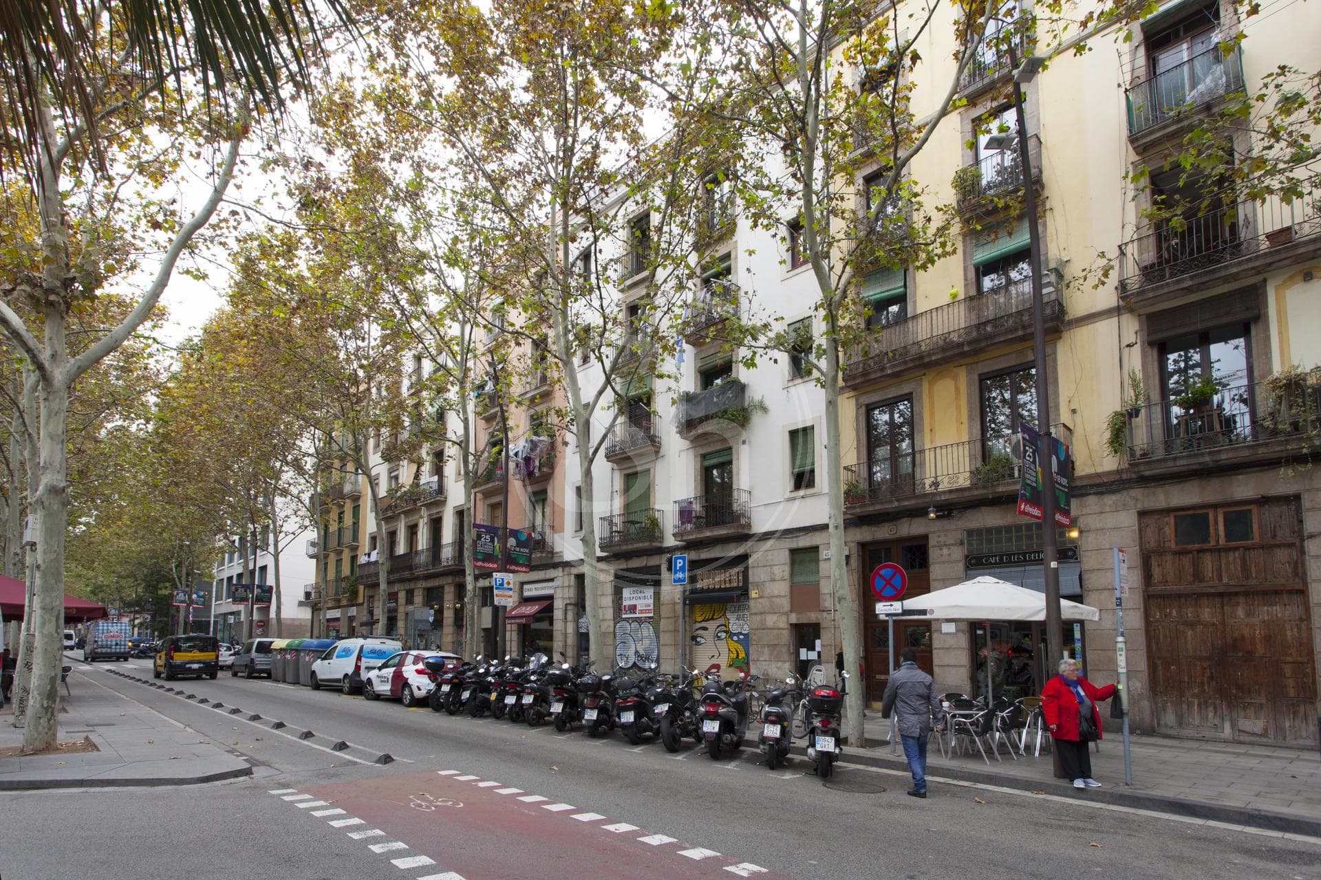 property_image_19