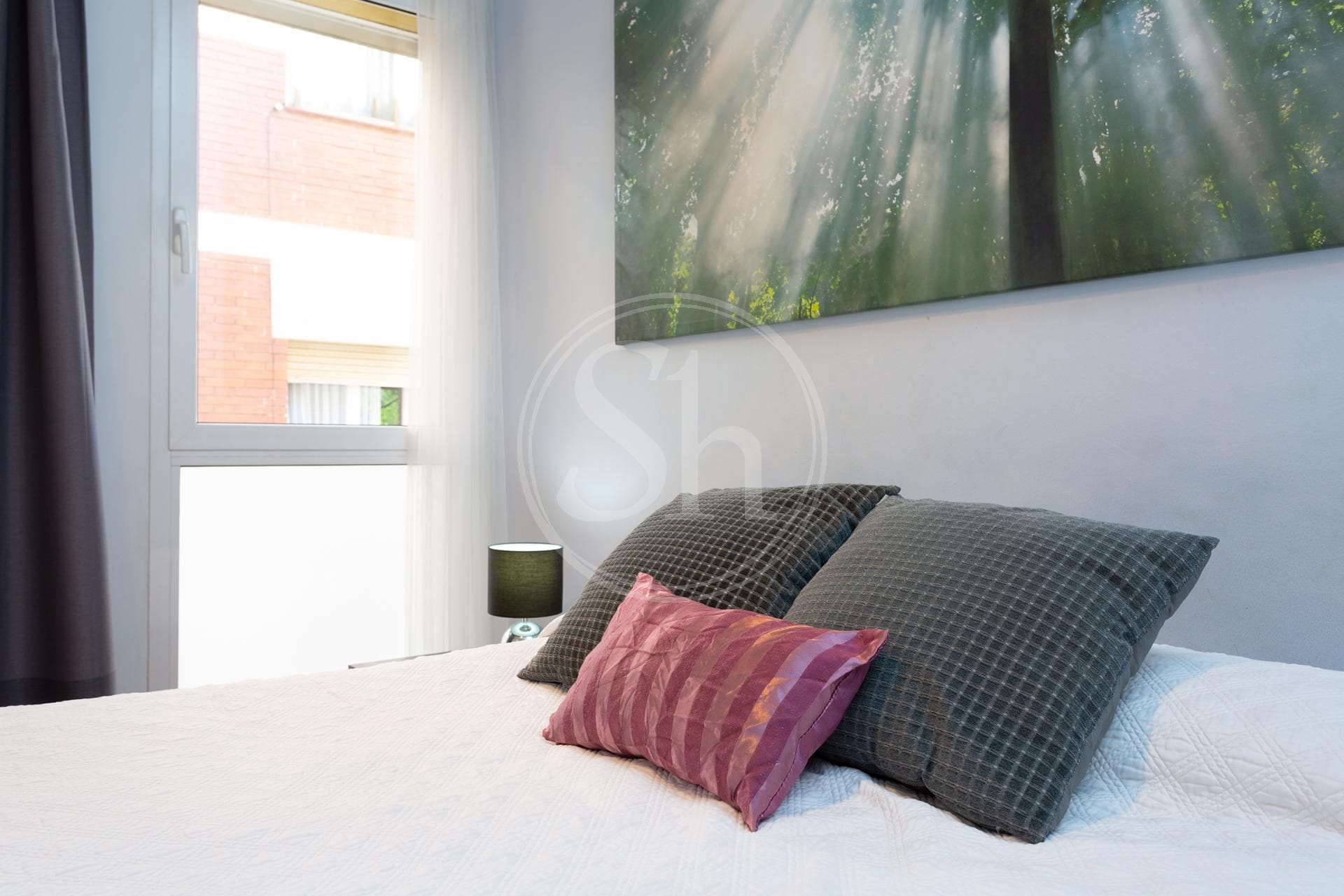 property_image_20