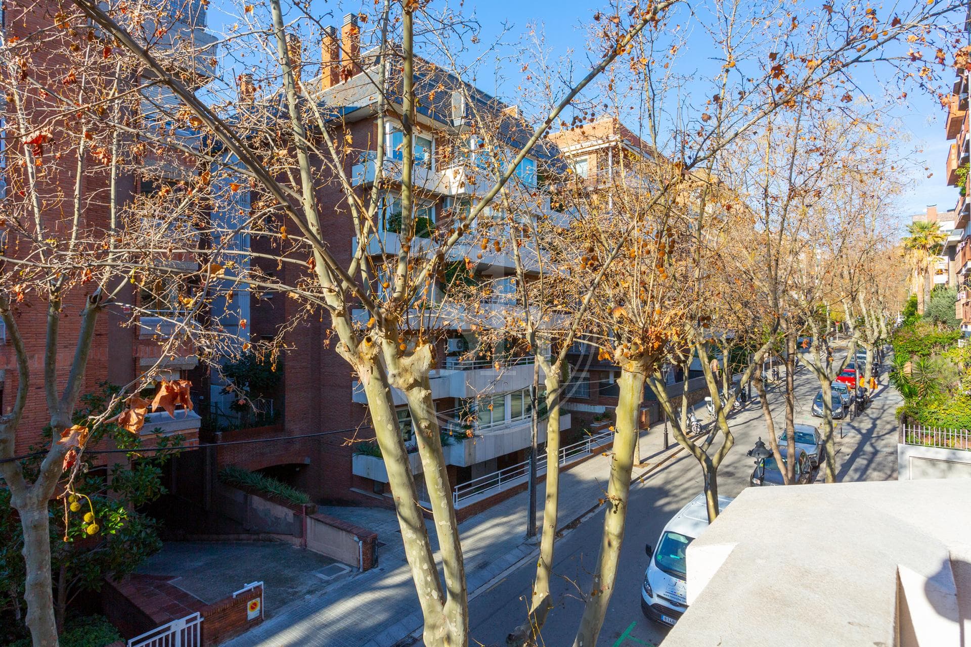 property_image_12