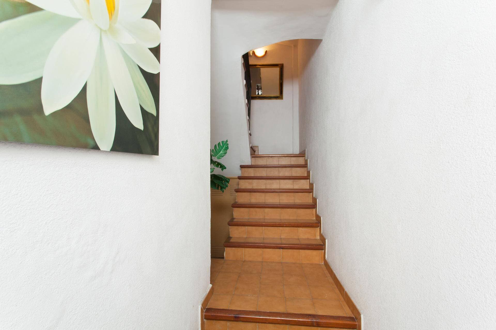 property_image_20