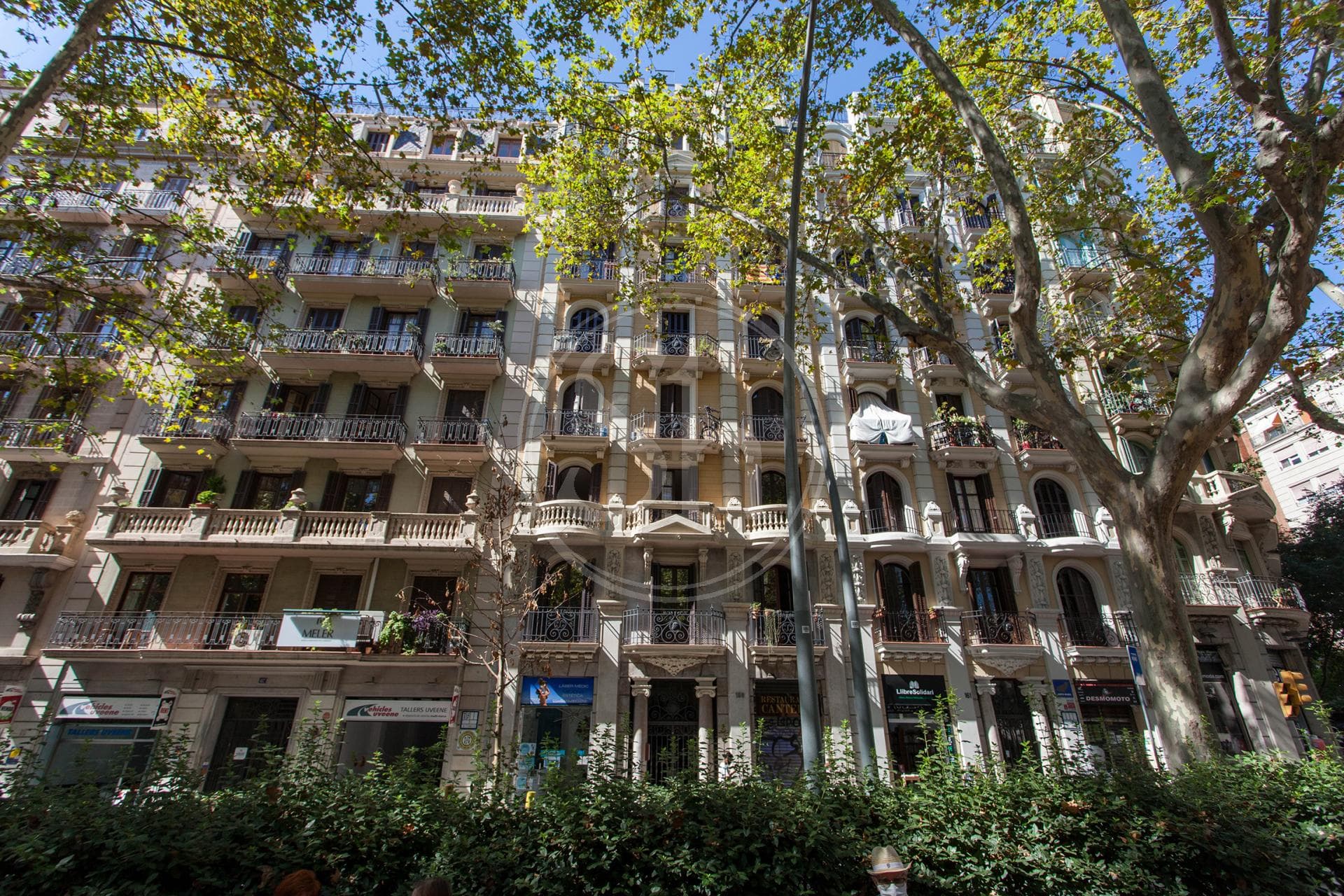 property_image_10