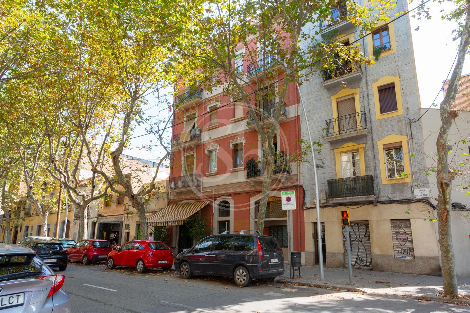 property_image_20