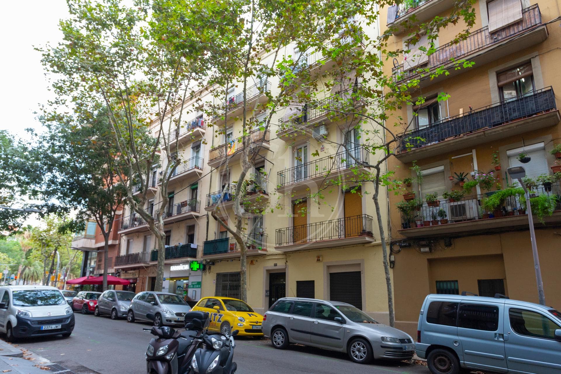 property_image_18