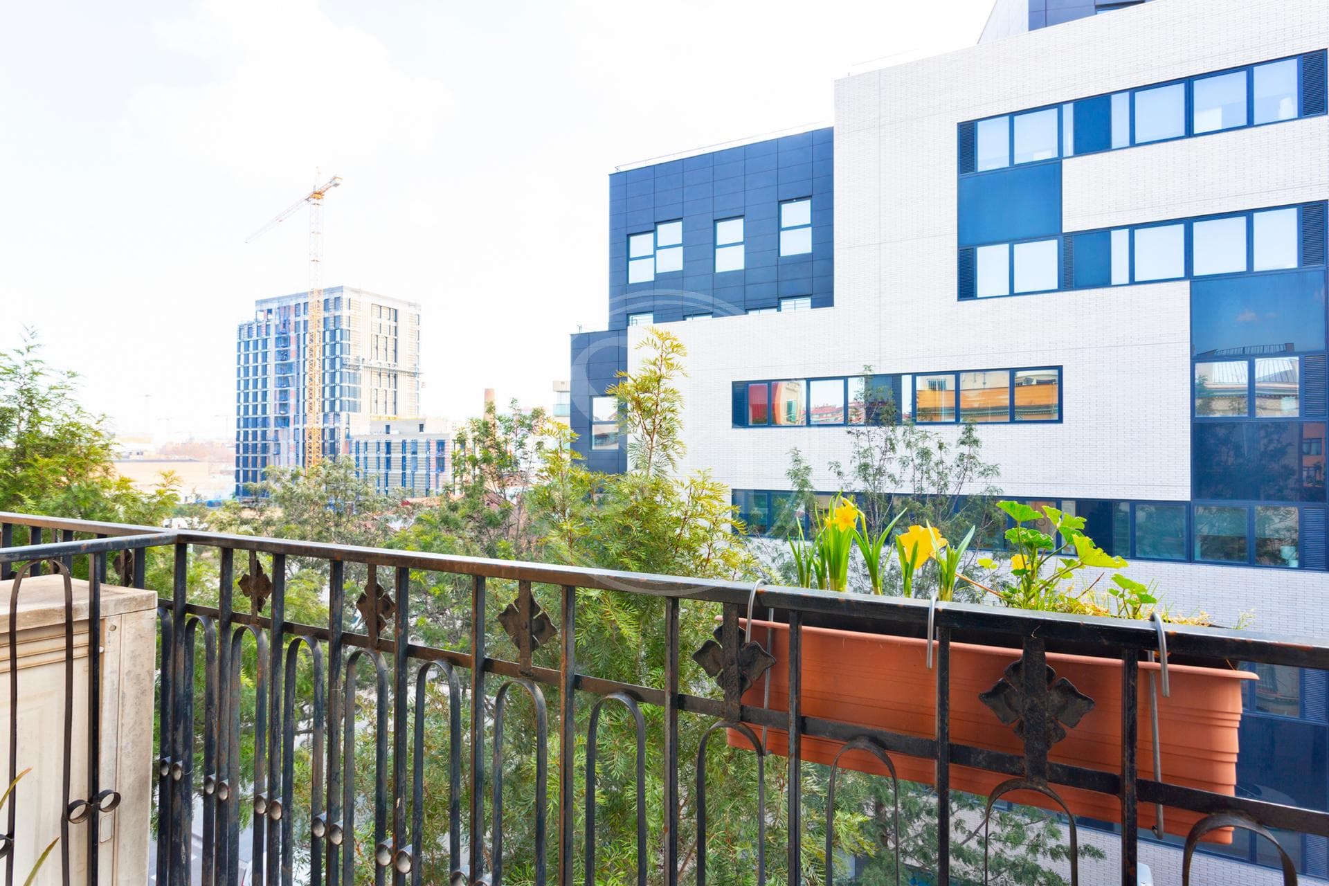 property_image_13
