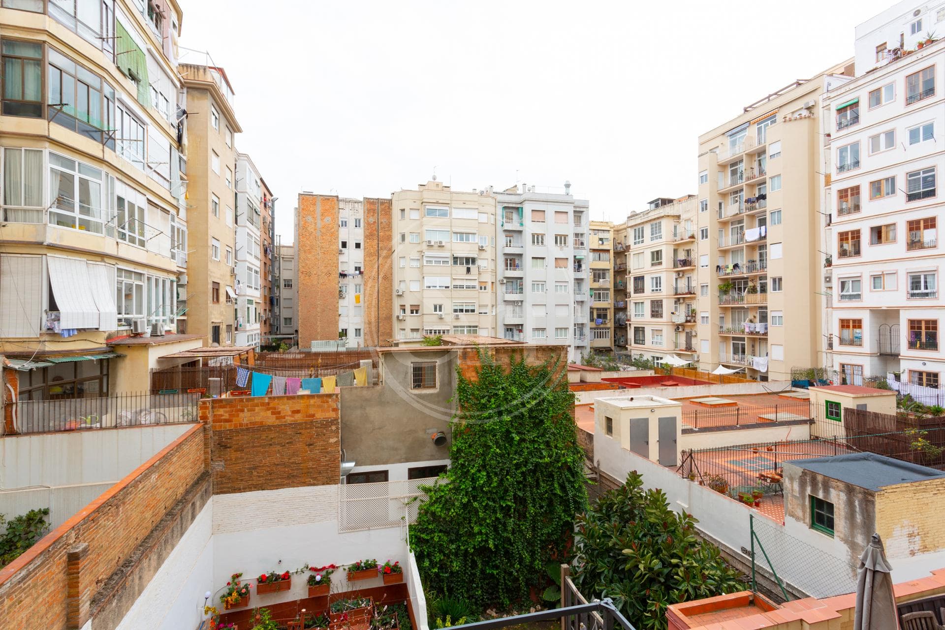 property_image_10