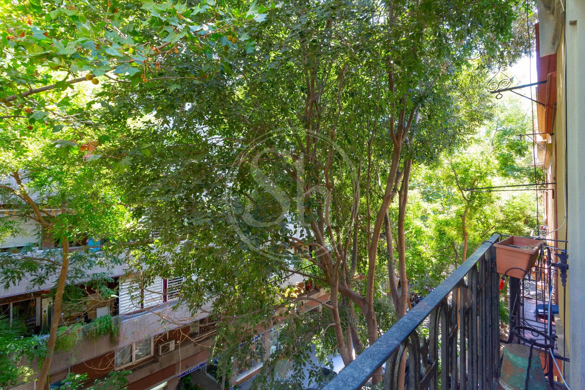 property_image_21