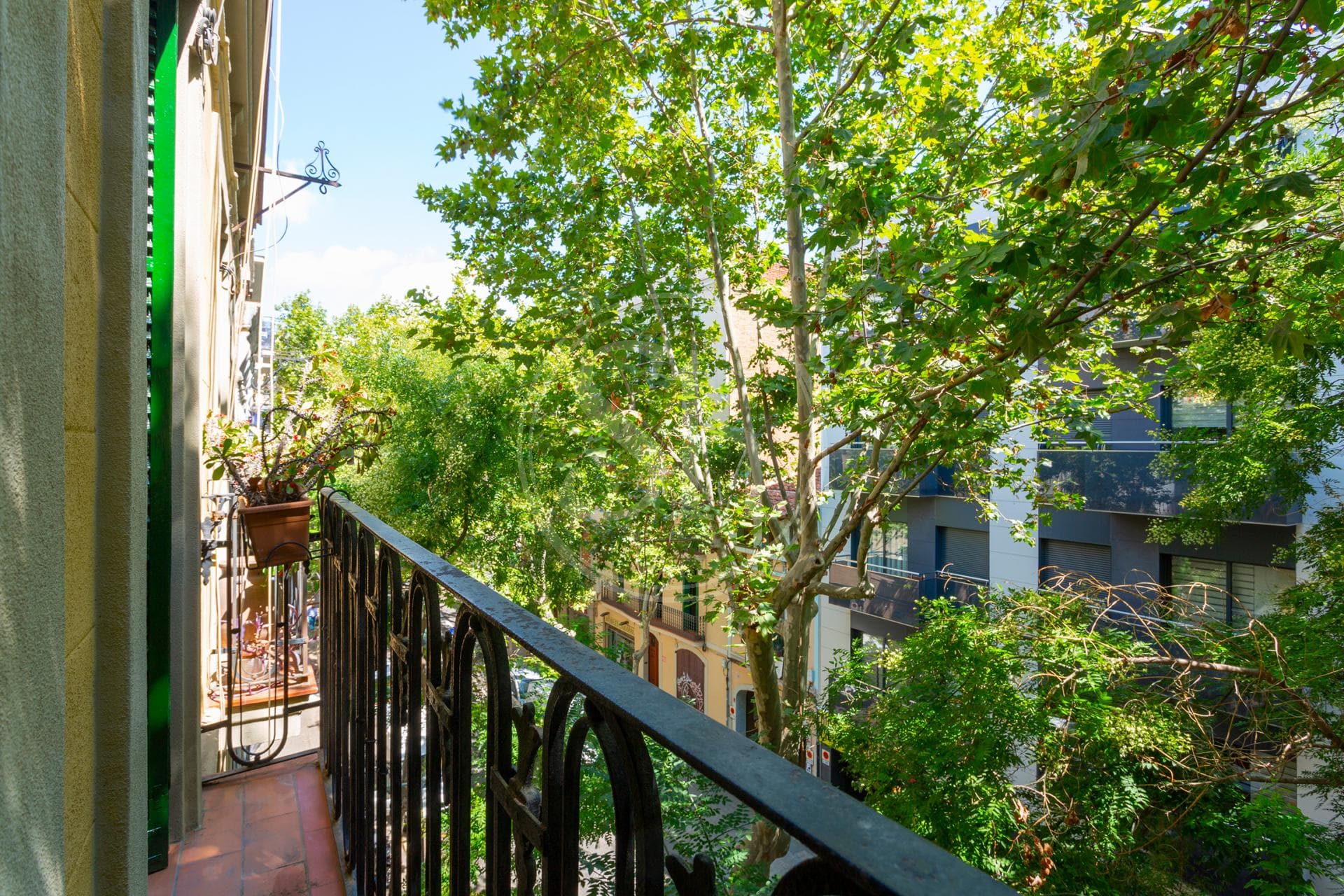 property_image_20