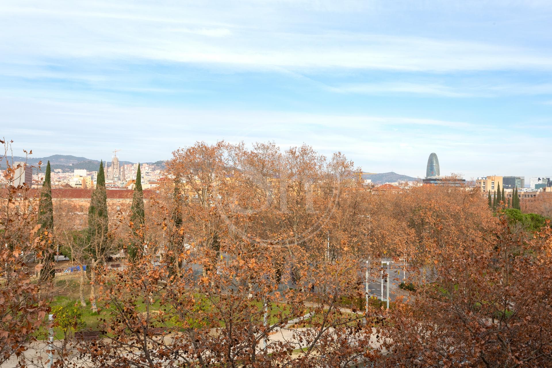 property_image_10
