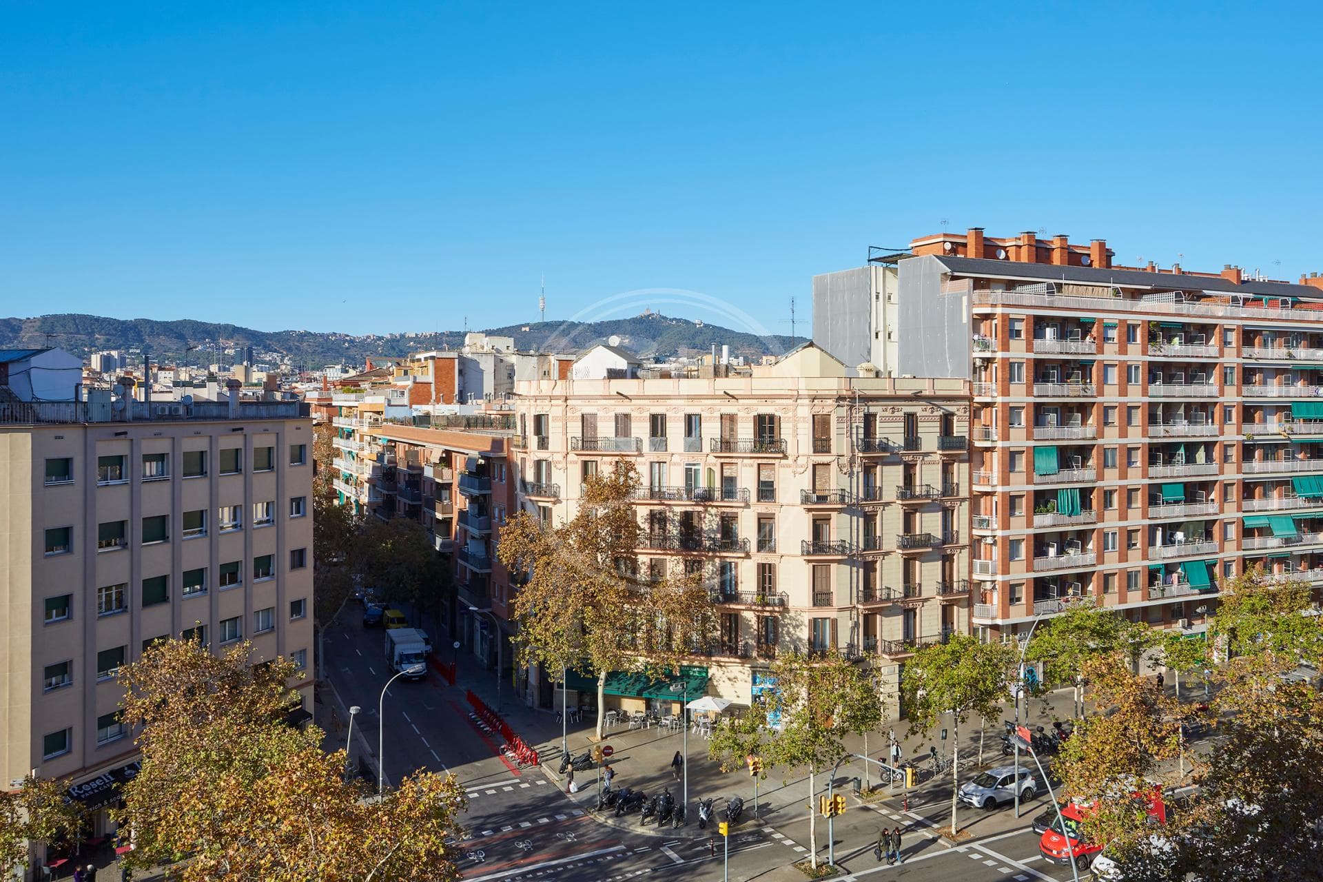 property_image_6