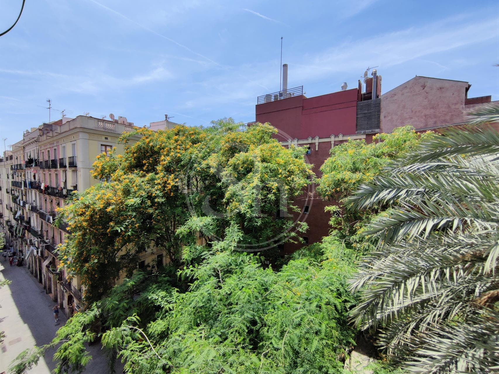 property_image_8