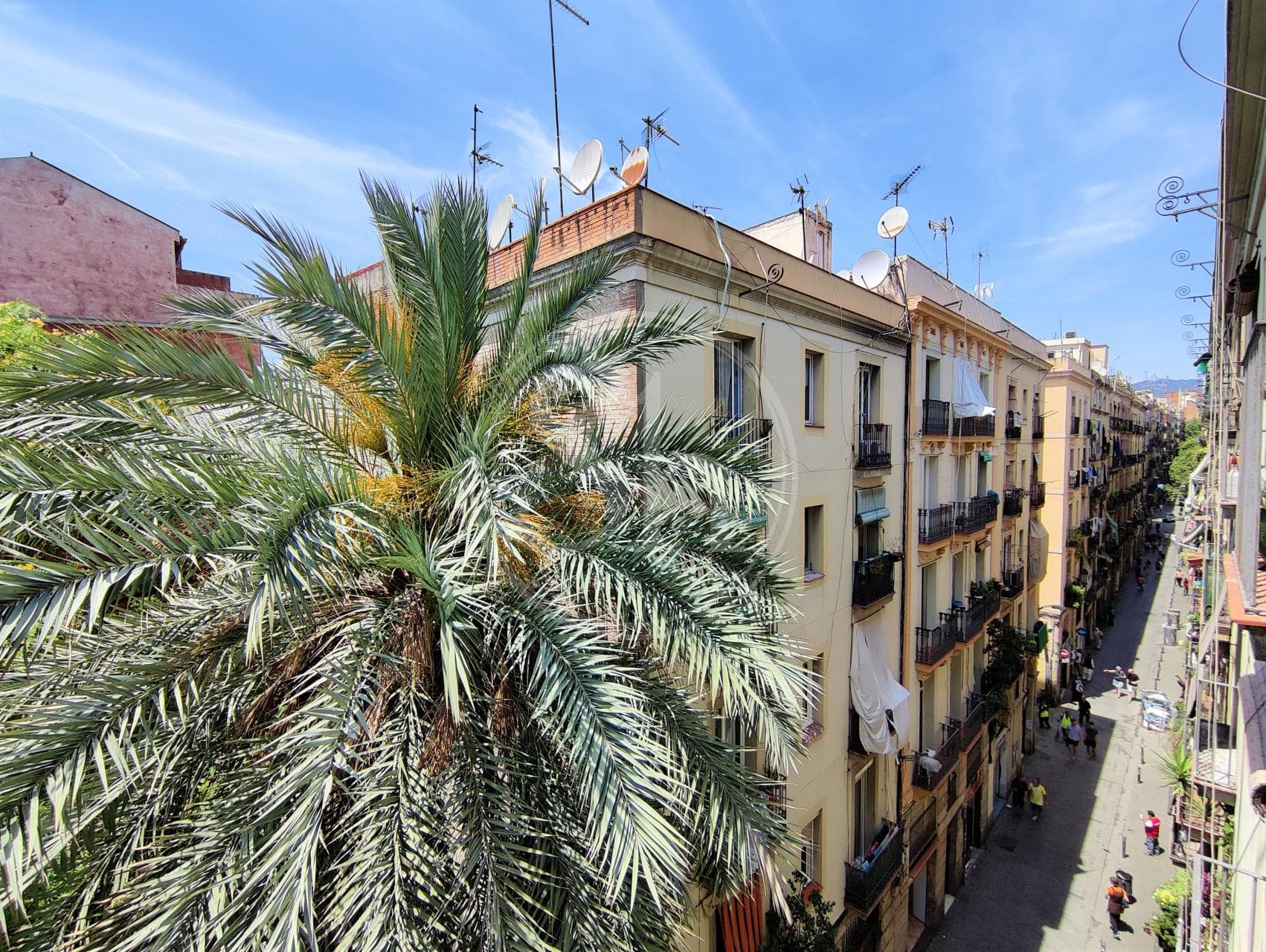 property_image_9