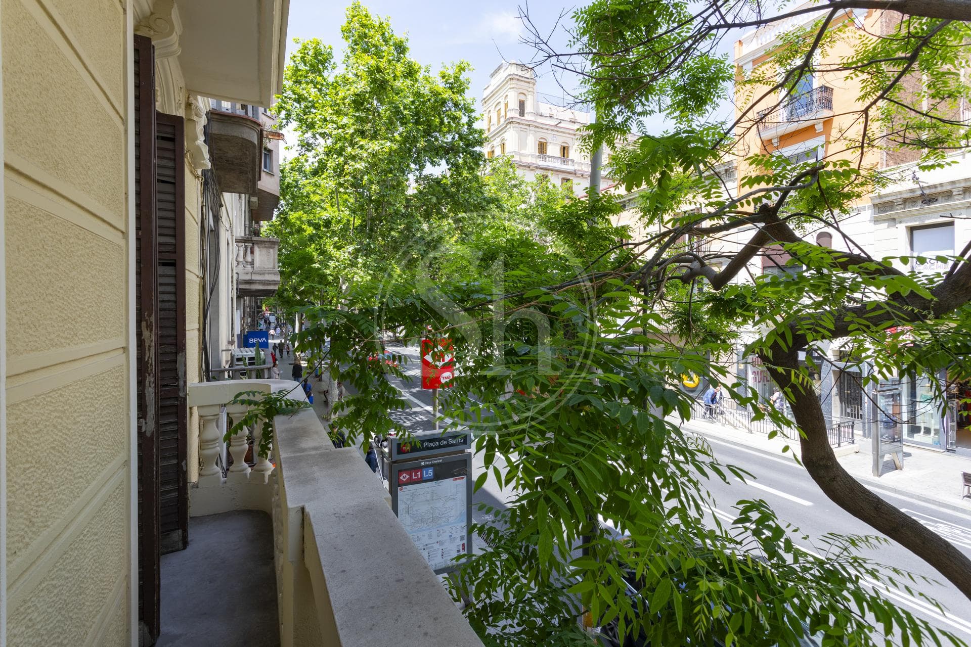 property_image_20