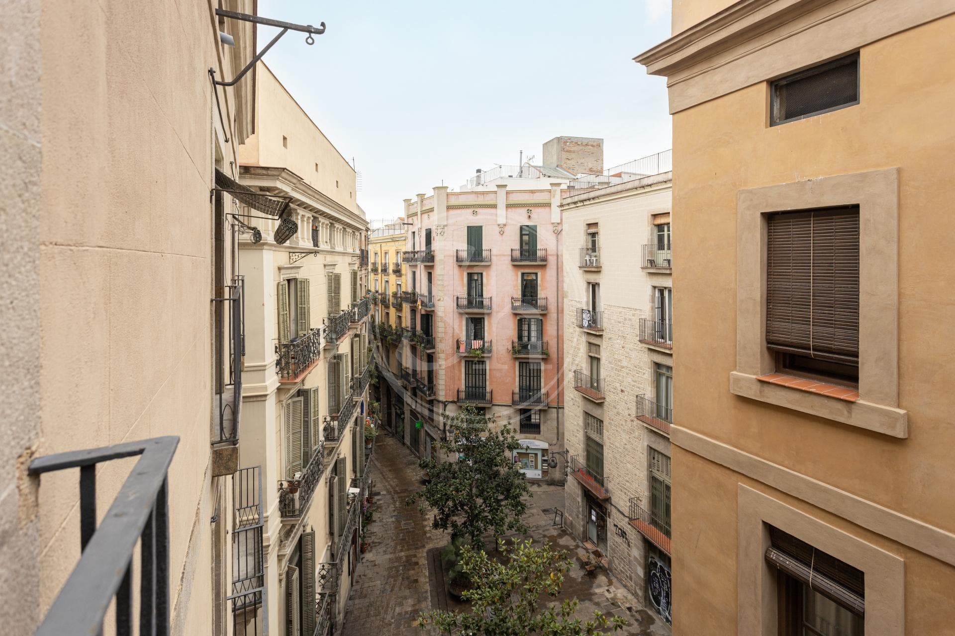 property_image_30