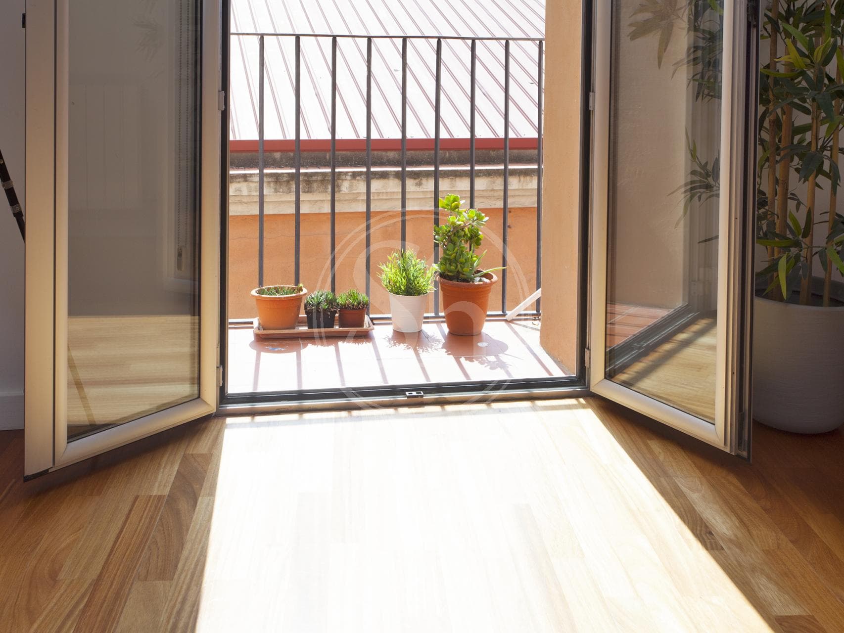 property_image_8
